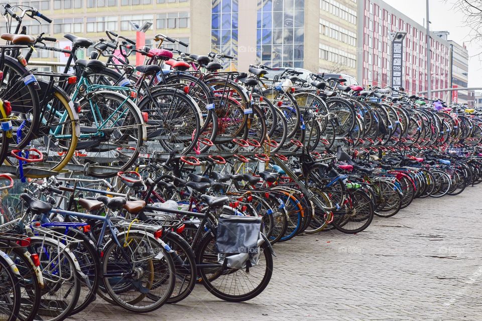 Bicycles in the street