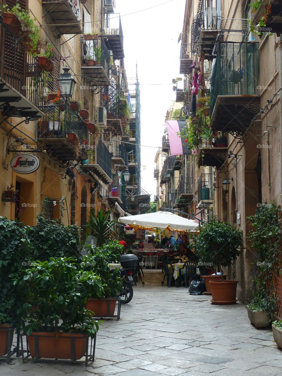 Streets of Palermo 