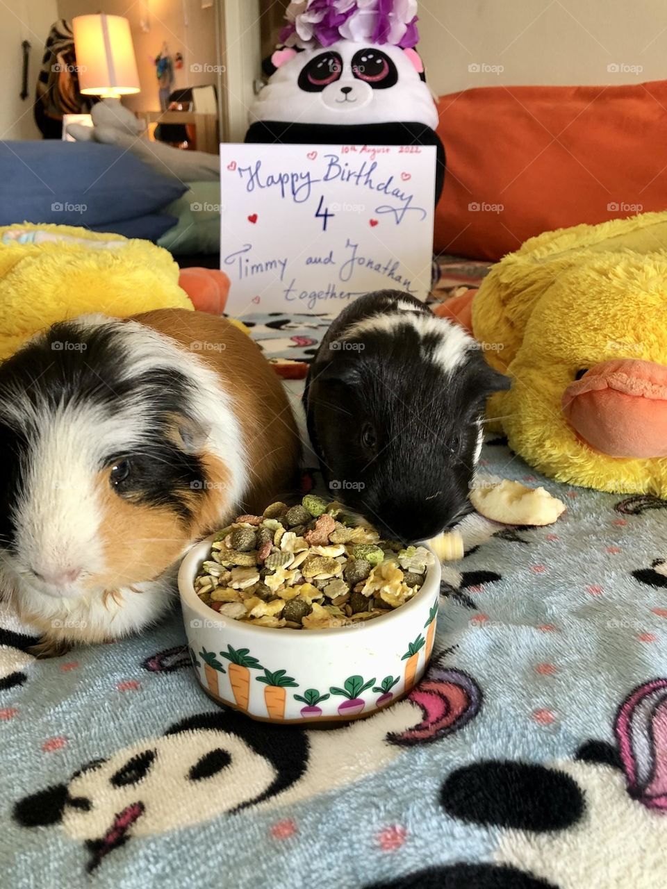 Together at the food bowl 