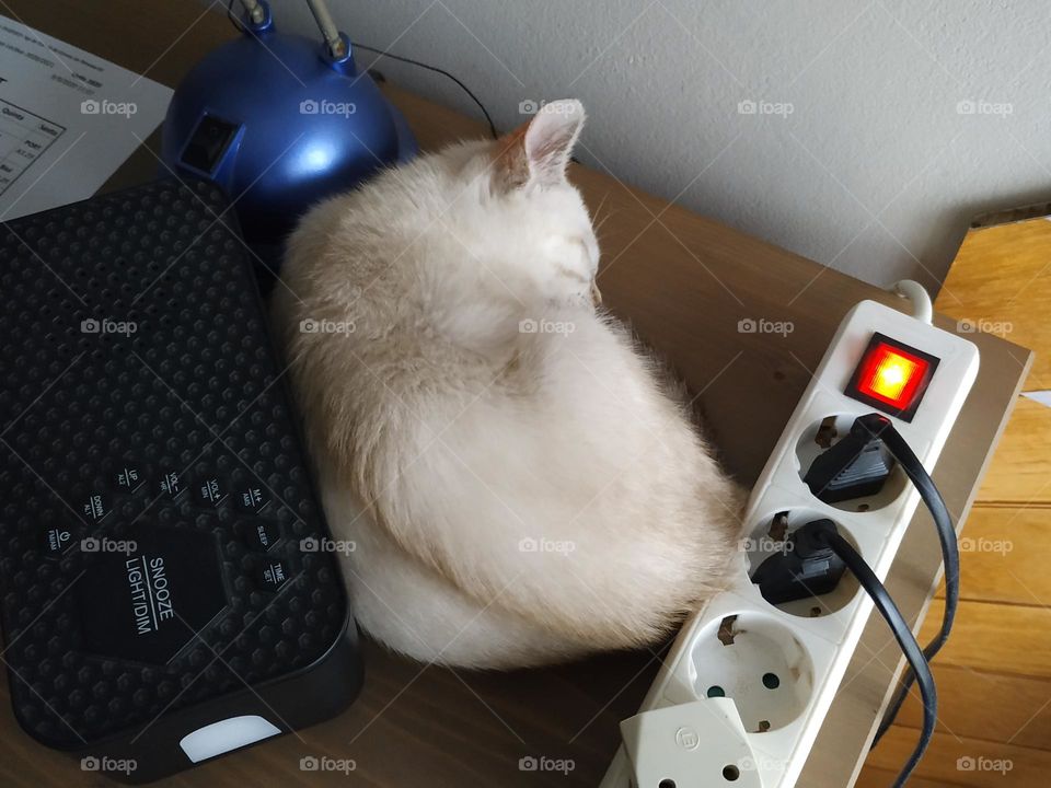 Cat sleeping between a lamp, a radio and a socket on top of a shelf