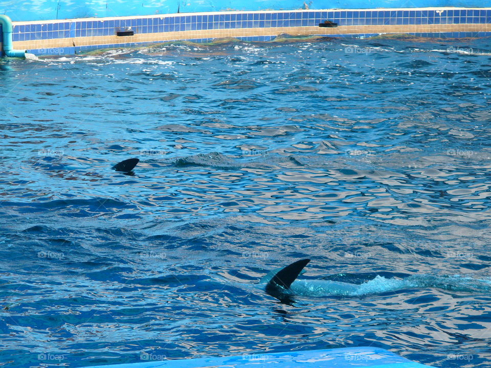 Water, Swimming, Sea, No Person, Dug Out Pool