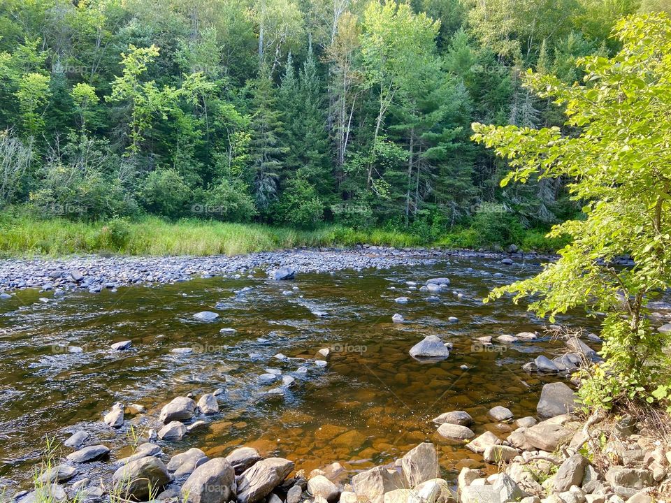 Surgeon River in the Upper Peninsula of Michigan