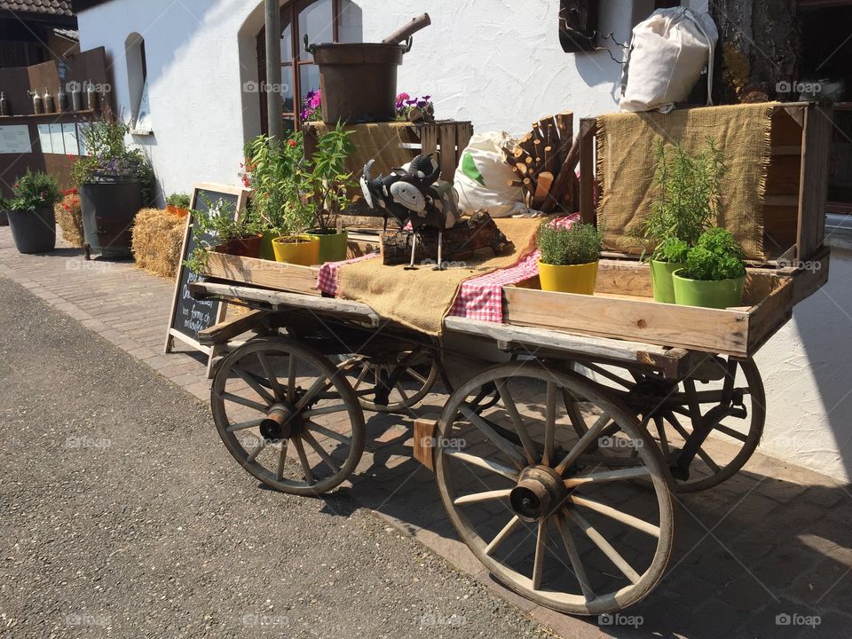 Wooden cart with potted plants in box