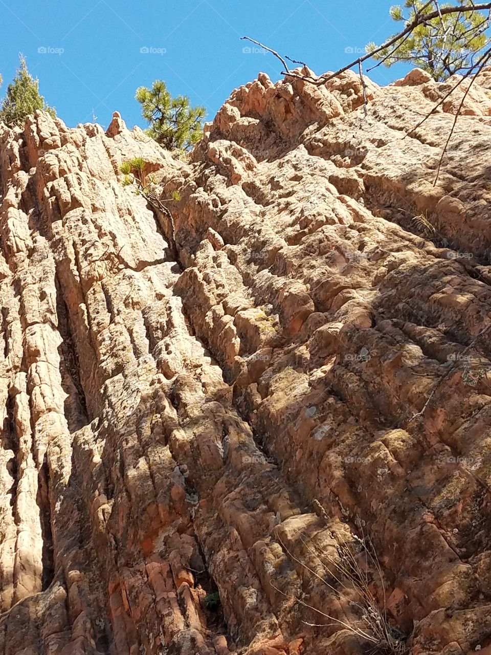 Red Rock Canyon