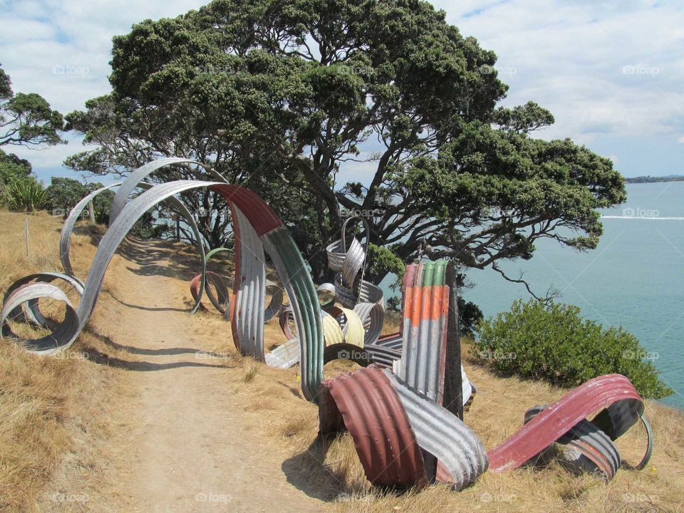 corrugated metal looped in front of tree and ocean