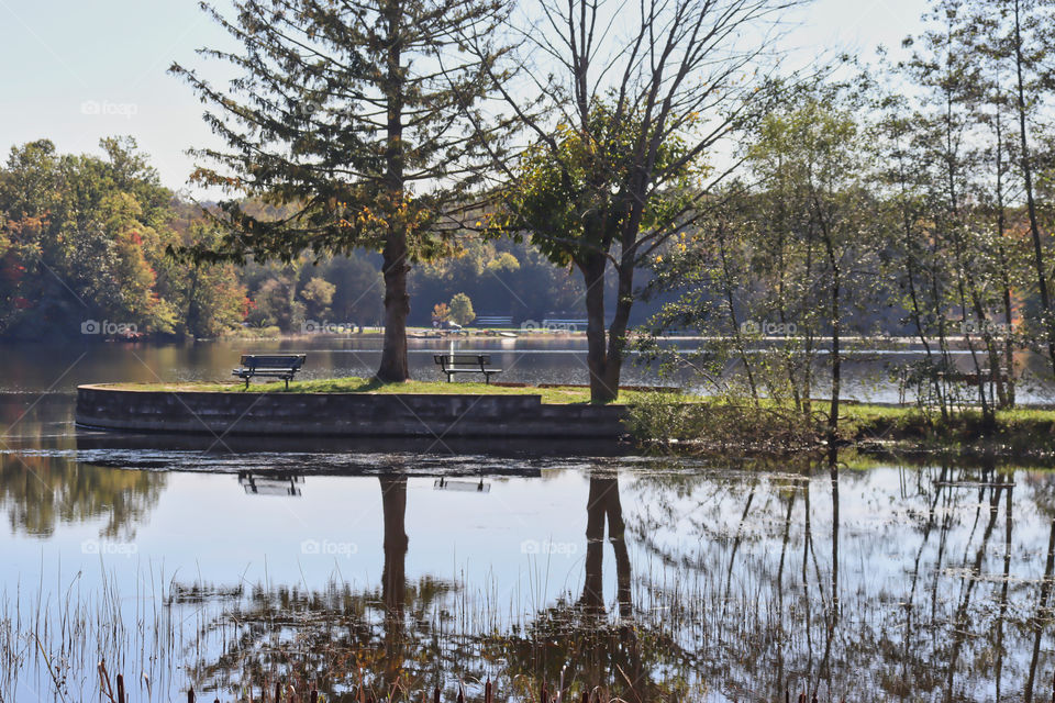 Reflection of trees and benches in water. 