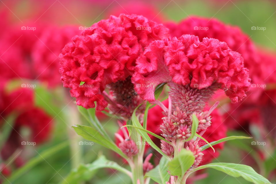 How this creates......