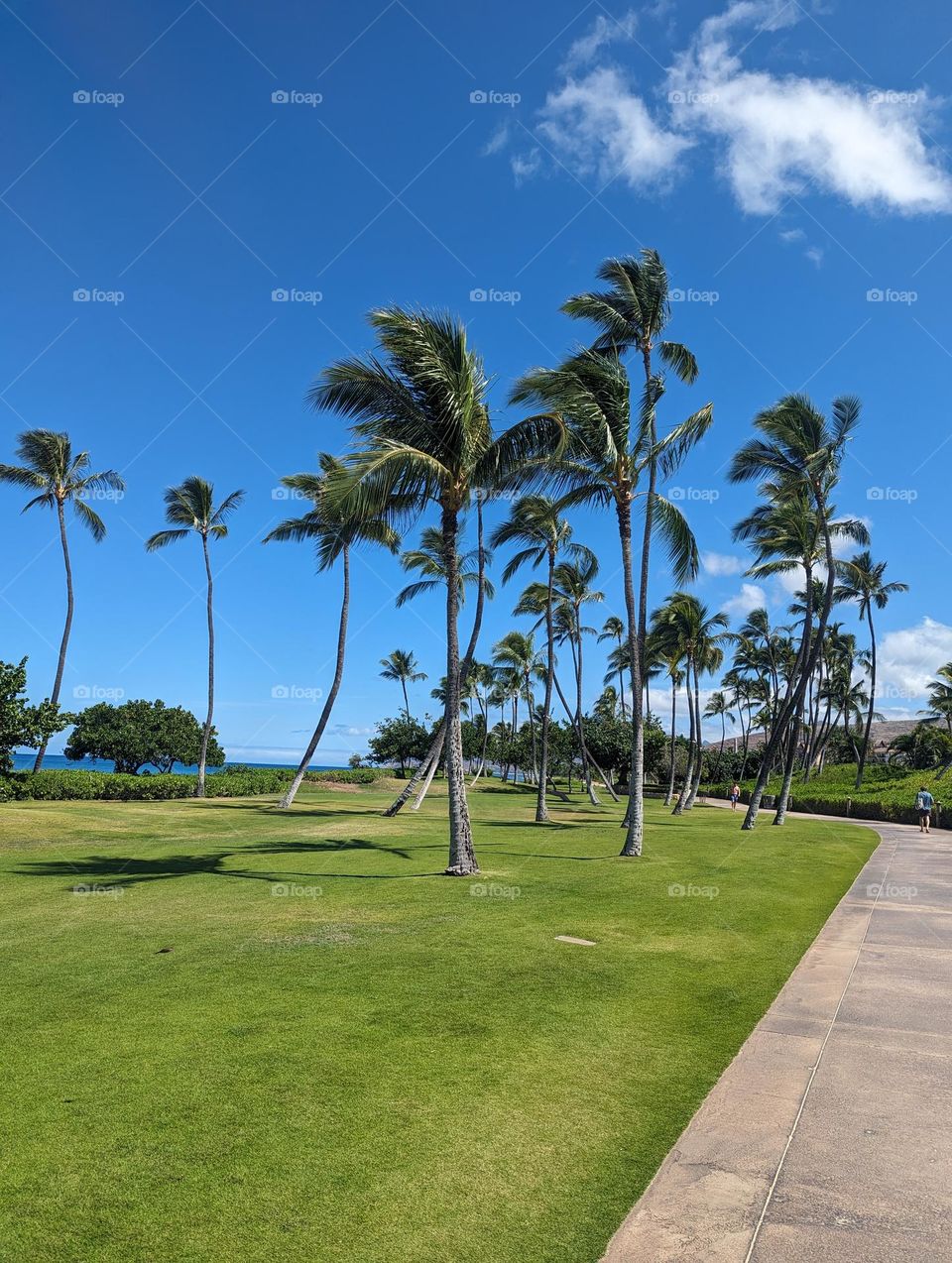 Ko-Olina Beach

Beautiful beach