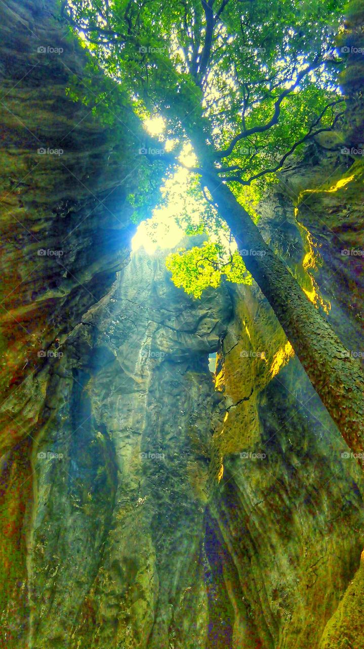 Yana. Karnataka 'India'