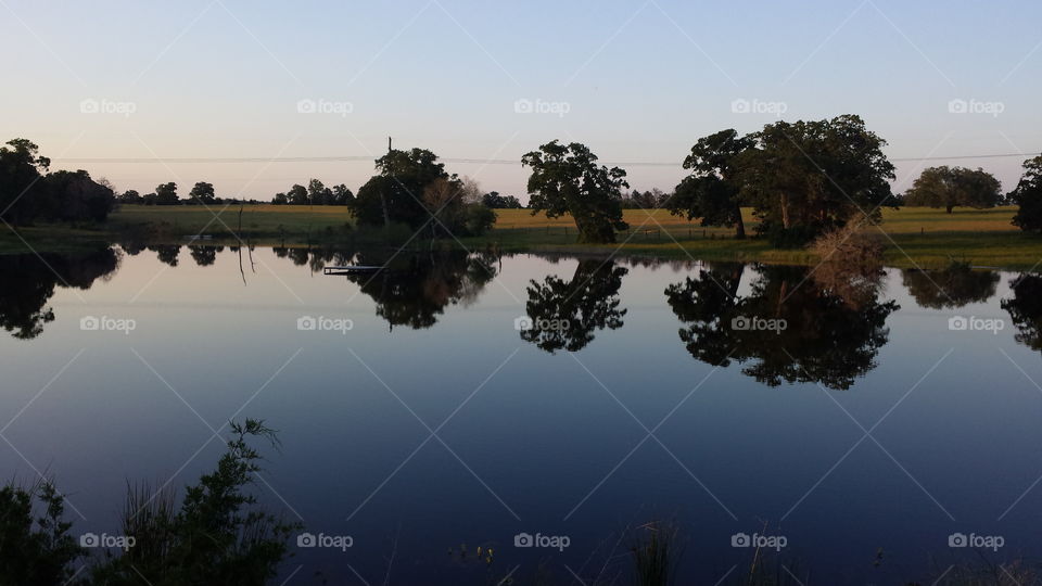 Pond at the ranch. Taken on the family ranch in early May 2015 in La Grange, TX