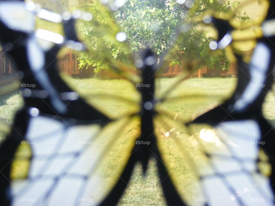 Looking through a stained glass butterfly