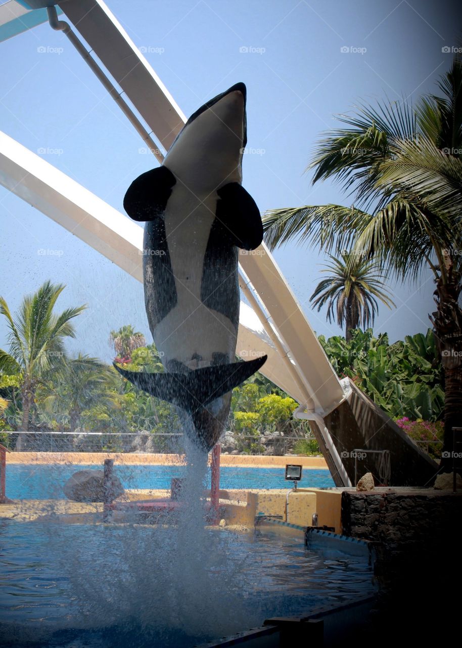 These animals jumping too ;)