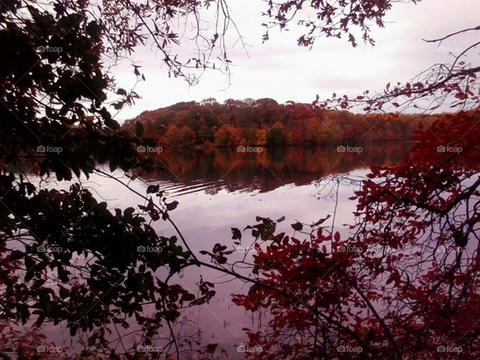VIRGINIA : Lake Burke ; Deparment of Game. Lake and Park. 

   Cool view of LAKE BURKE. Fall colours, crisp water  and a mirror smooth reflection.
