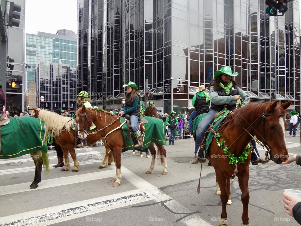 Horses Wearing the Green