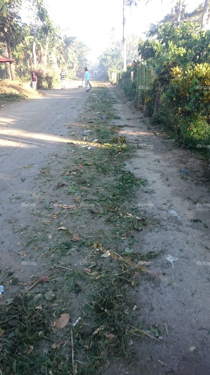 Clean and green program 