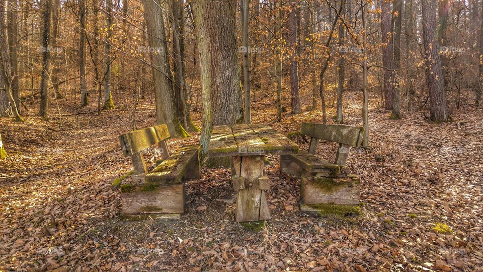 Sitzplatz im Wald