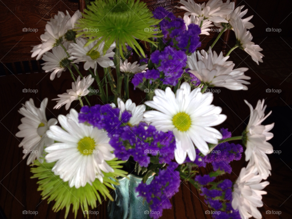 green flowers white purple by SassyChic23