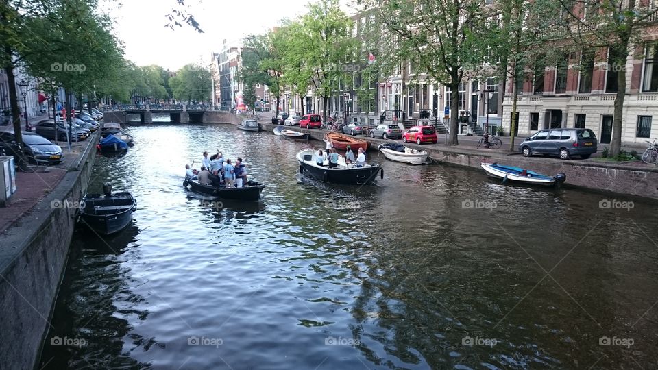 Making friends in the canals of Amsterdam.