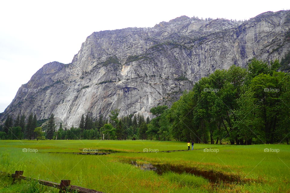 A trail going through meadows at Yosemite national park