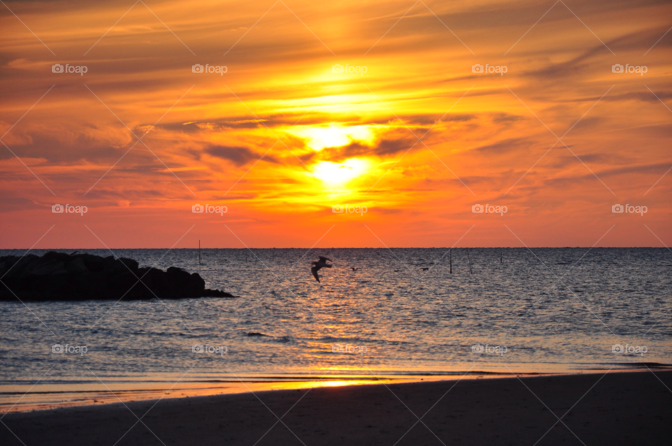 va cape charles by tfmiller