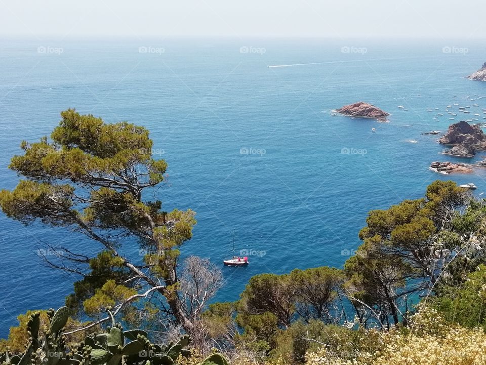 Tossa de mar