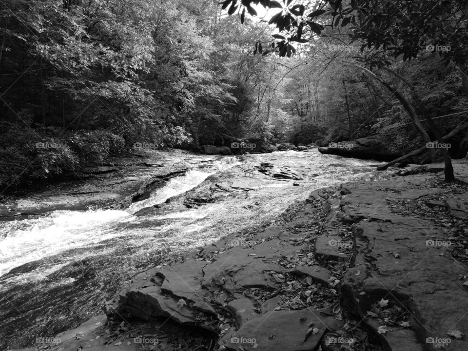 Ohiopyle, PA black and white water slides