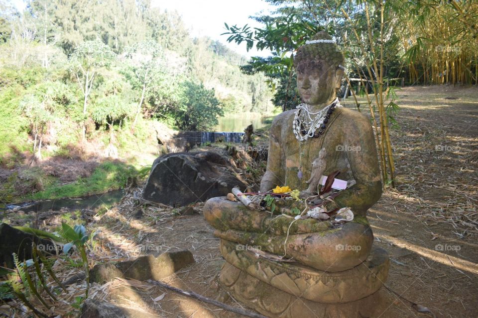 Buddha waterfall garden Hawaii