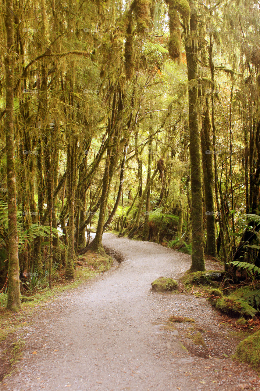 Hiking trail