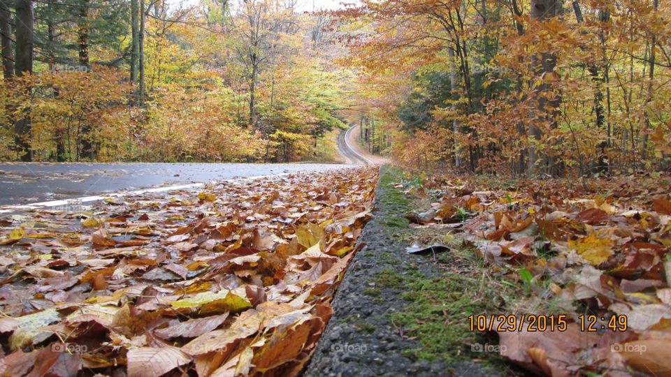 Northern Michigan 