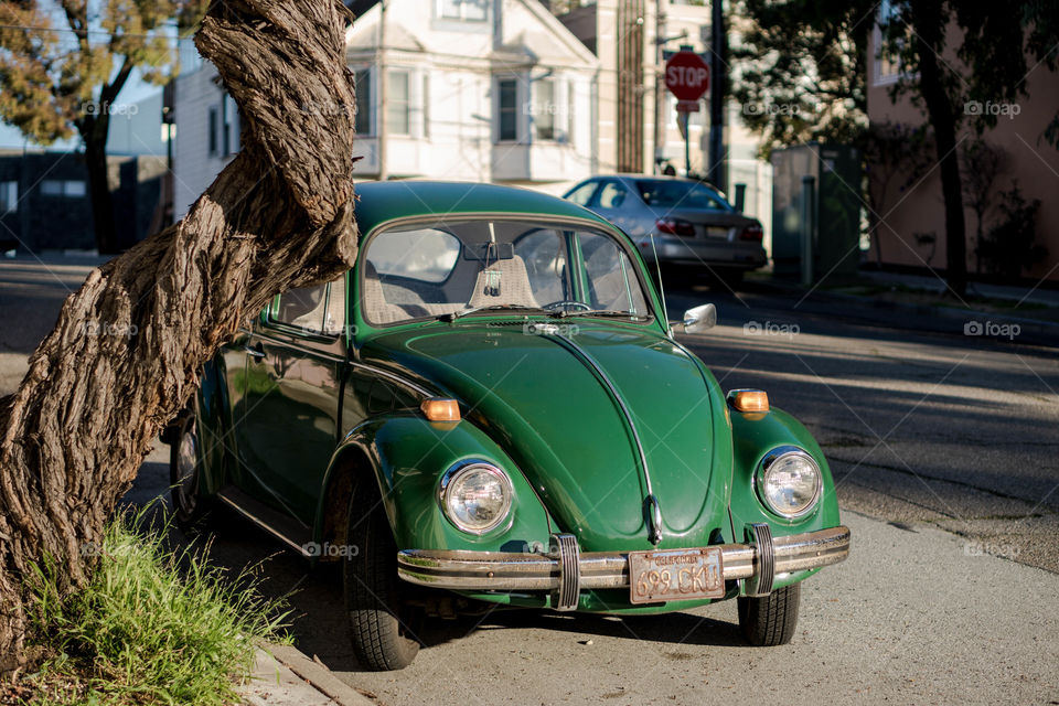 Volkswagen Beetle