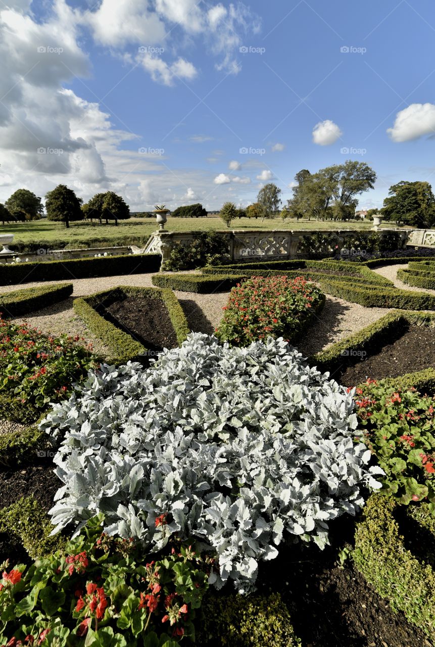 Garden. Parterre 