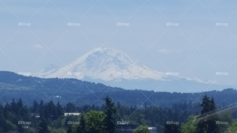 Rainier in summer