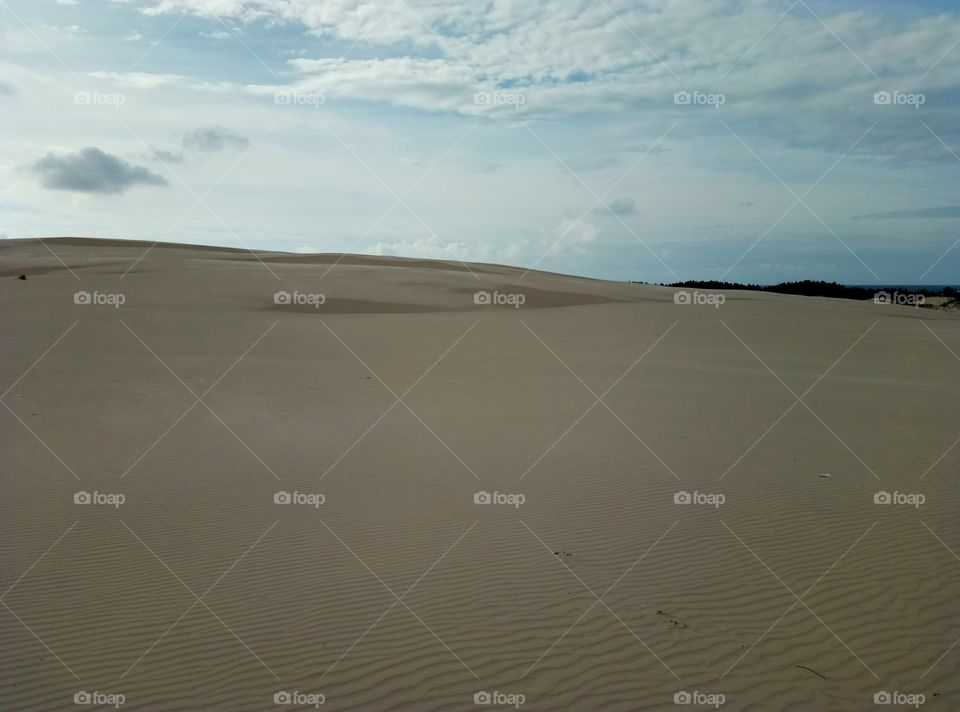 Desert, Dune, Sand, Landscape, No Person