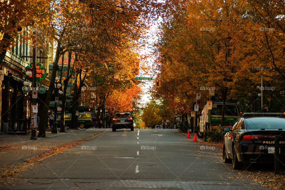 Fall in Vancouver, British Columbia