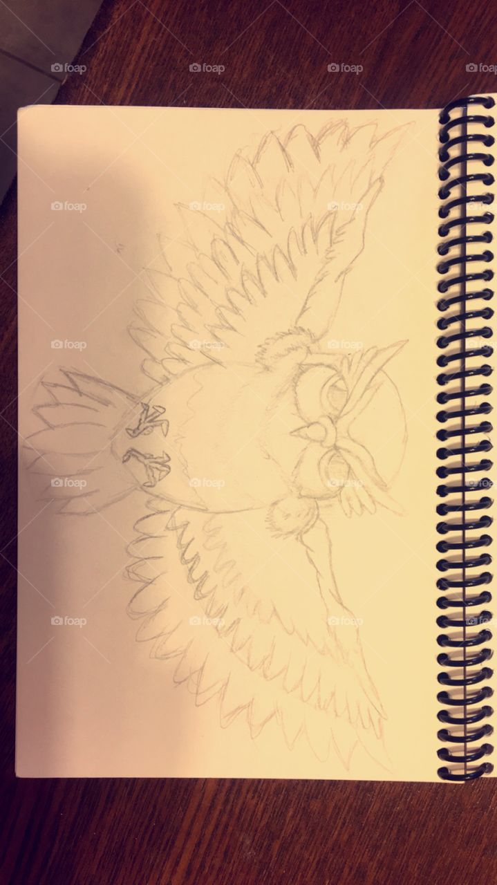 Basic rough sketch of a owl