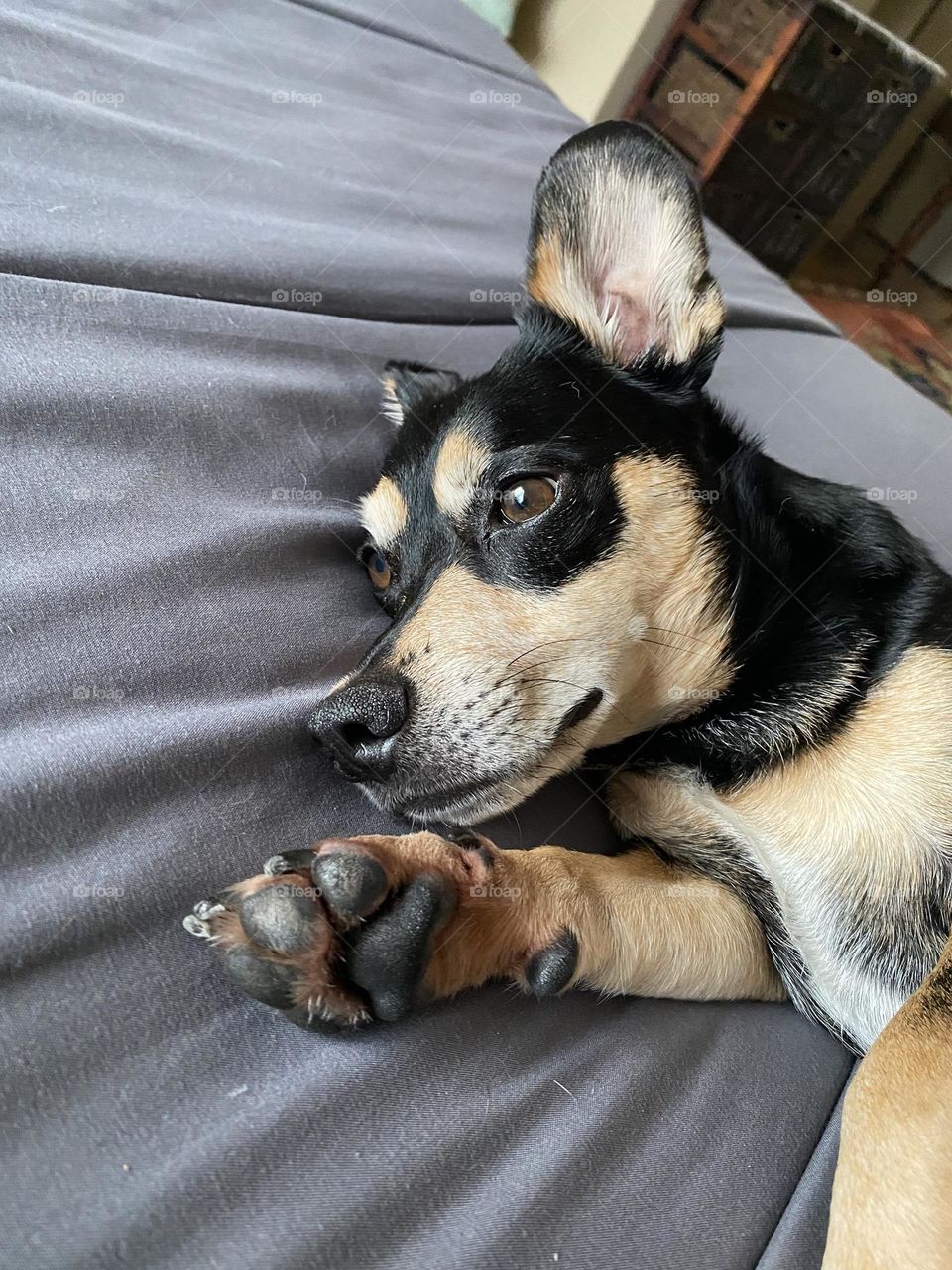 If you could read my mind, what tales you could tell