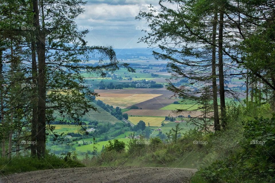 Country road