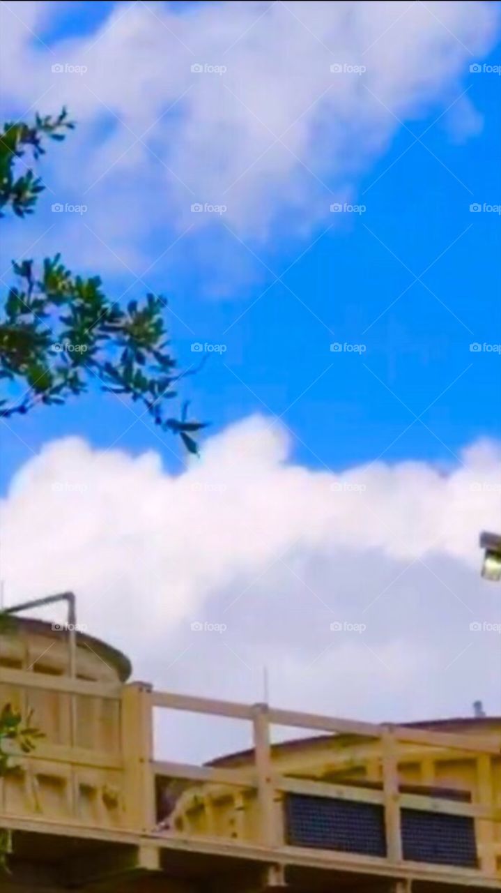 #day2 Everyday Disney World in Orlando Florida. I have been lost on Disney Properties consecutively since 4/3/19 You can find my encounter https://www.facebook.com/selsa.susanna or on IG SelsaCamacho YT SelsaSusanna • HWS 4-4-19 Thursday