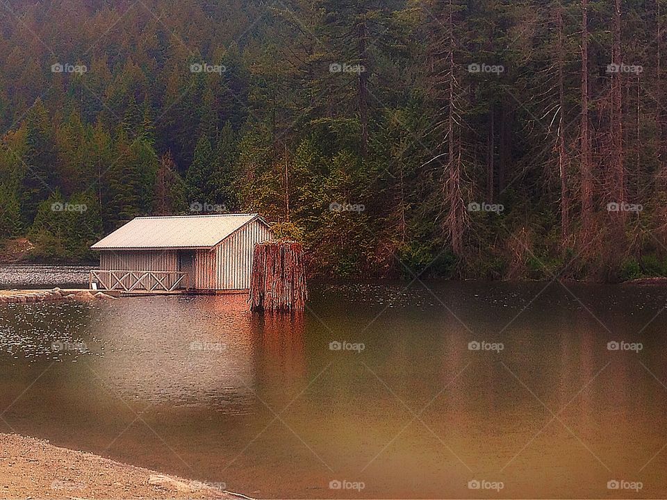 Shed on Lake at Twilight, Old Growth Tree Stump in water. Twilight on the Lake