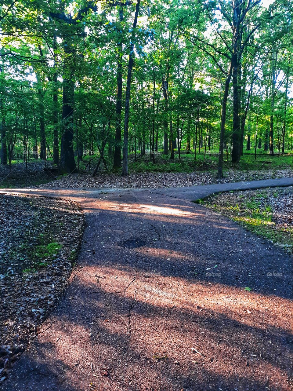 Hiking on the Nature Trail