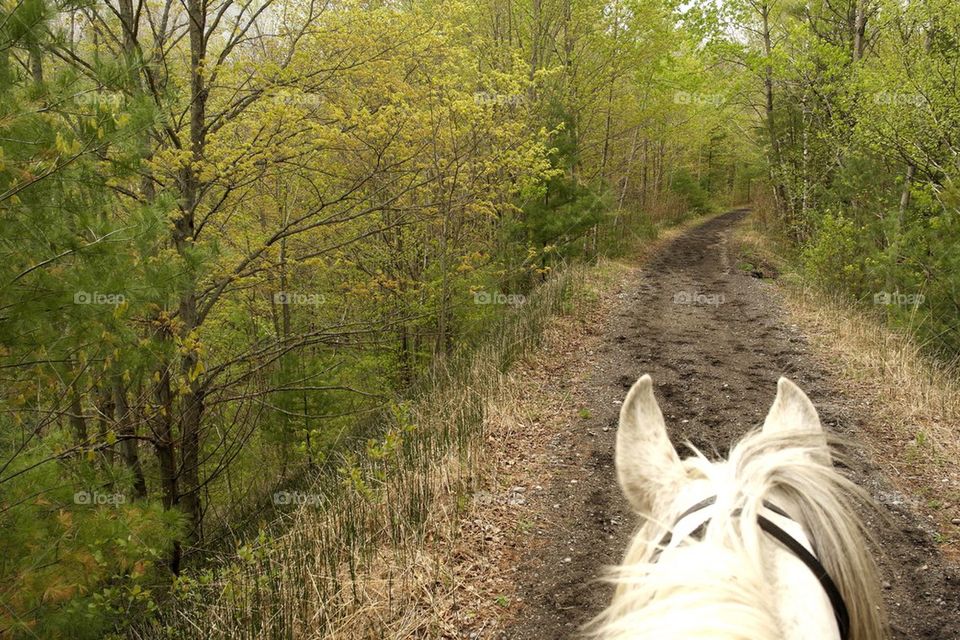 Riding the rail trail