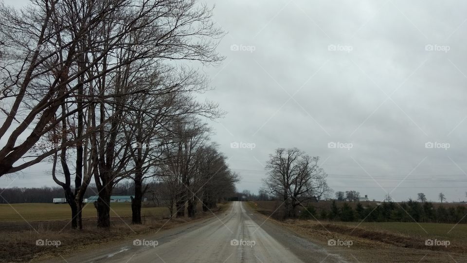 A Very Windy Spring Day