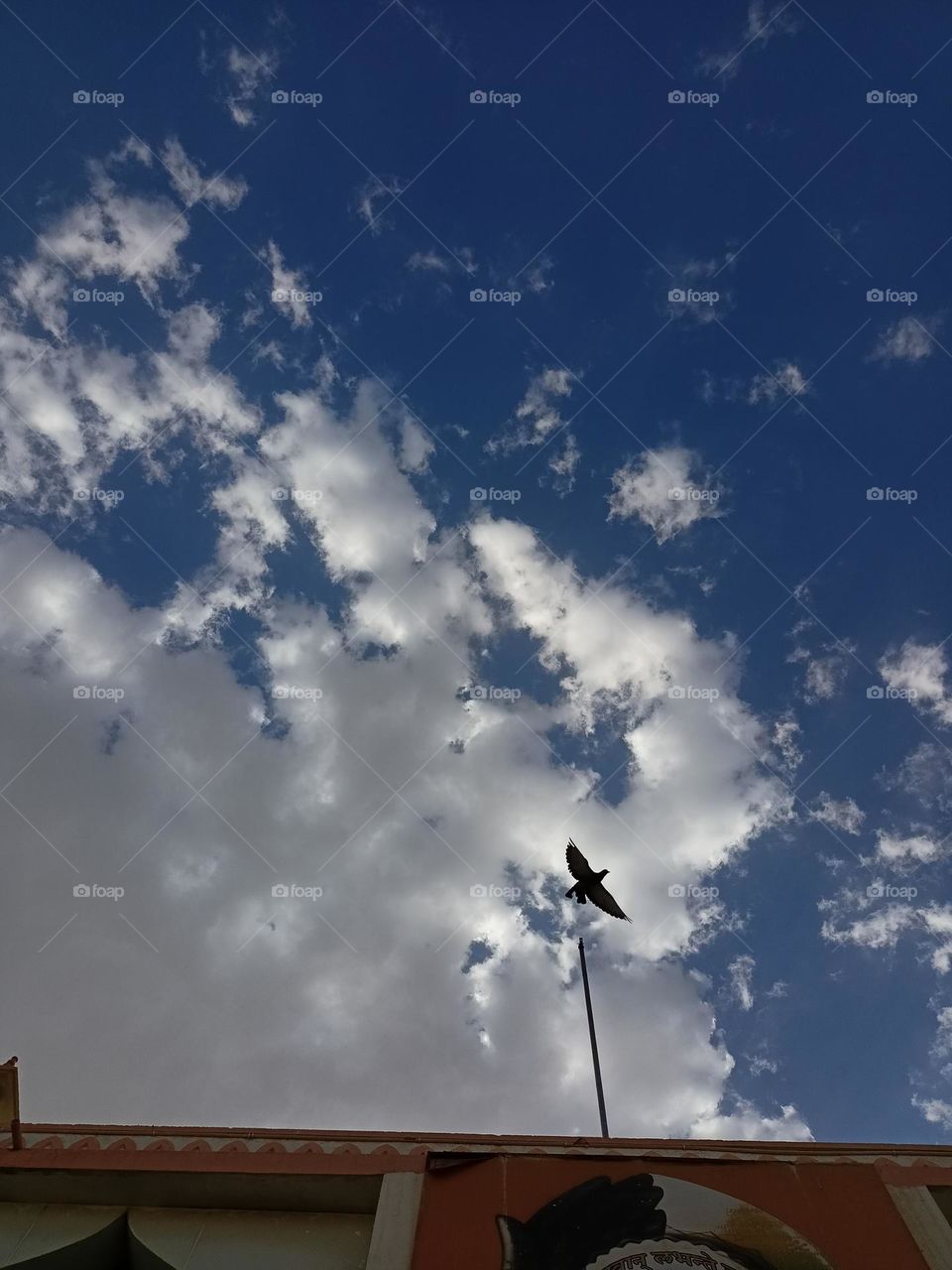 clouds and bird on terrace