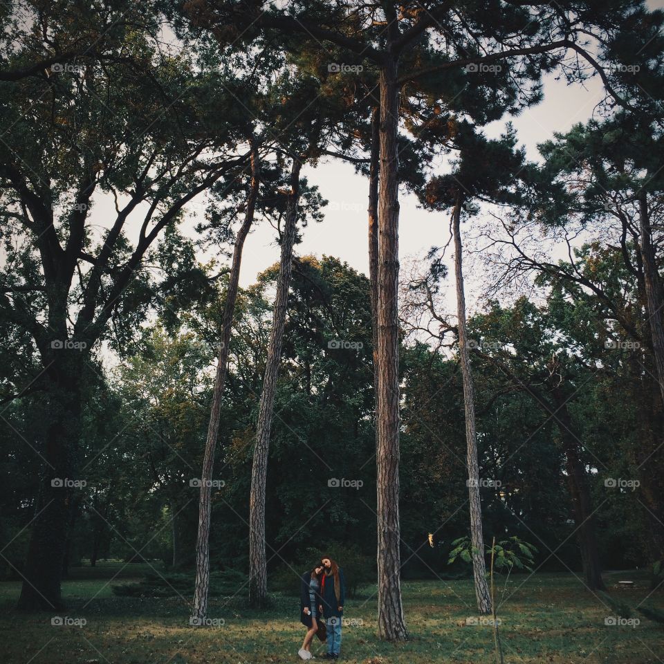 Girls in the spring Forest 