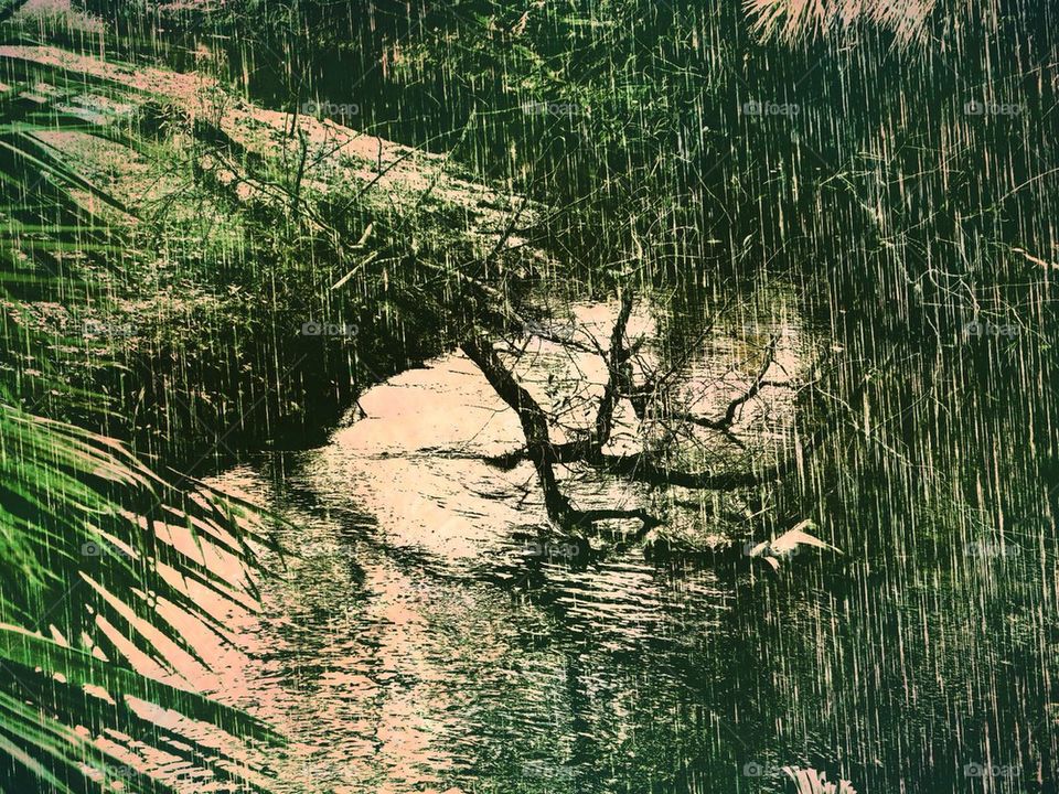 The river in the rain