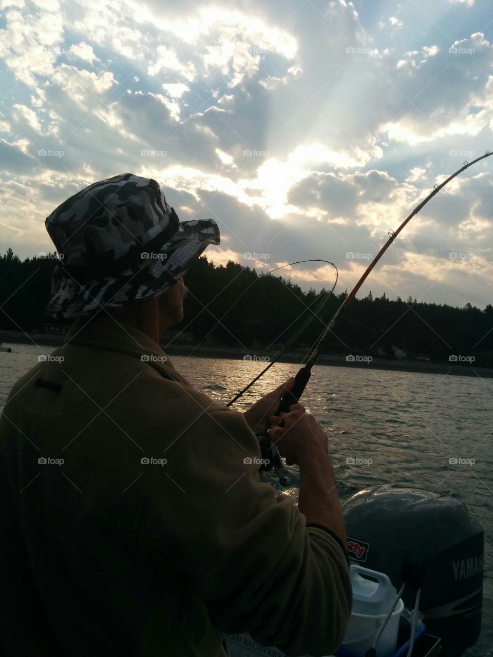 King fishing ! 