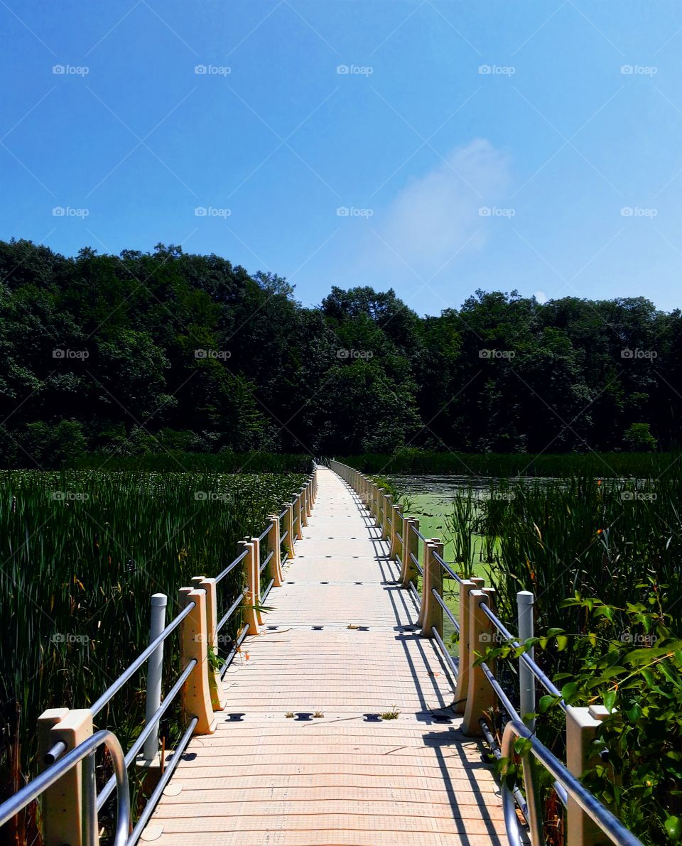 Long bridge over marsh
