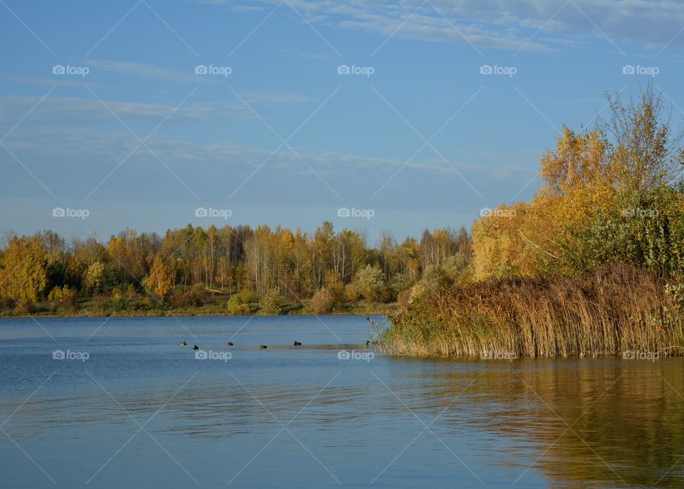 beautiful landscape lake and trees blue sky background autumn time