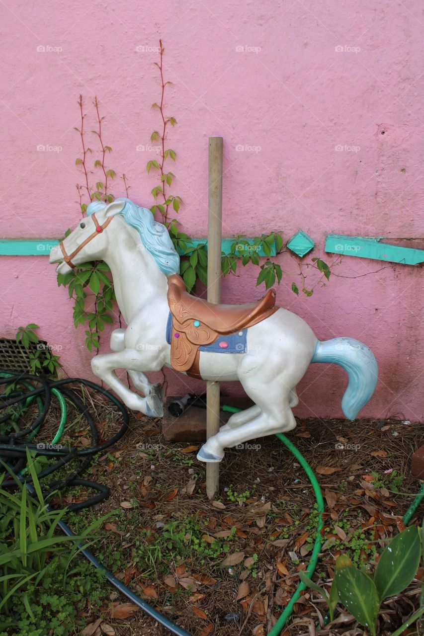 carousel horse