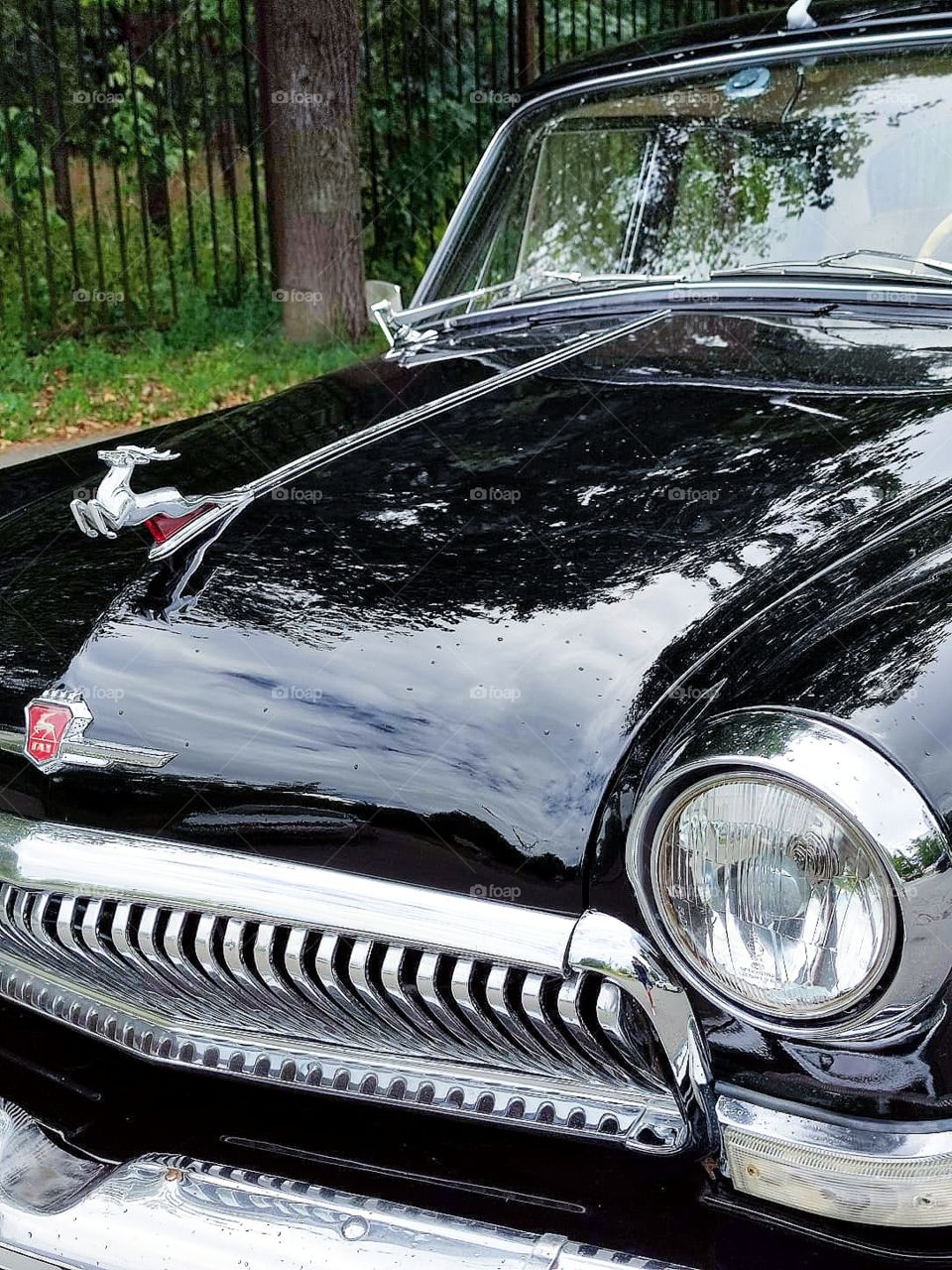 Black machine of the 60s. Volga "GAZ-21". On the hood of the machine emblem in the form of a flying deer of silver color